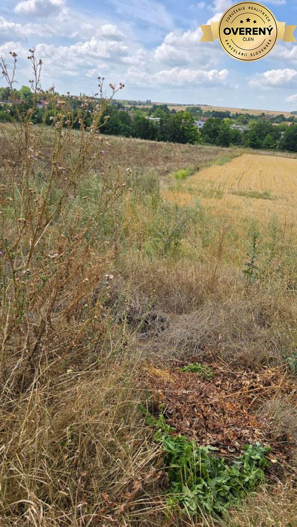 Sale Land – for living, Land – for living, Trnava, Slovakia