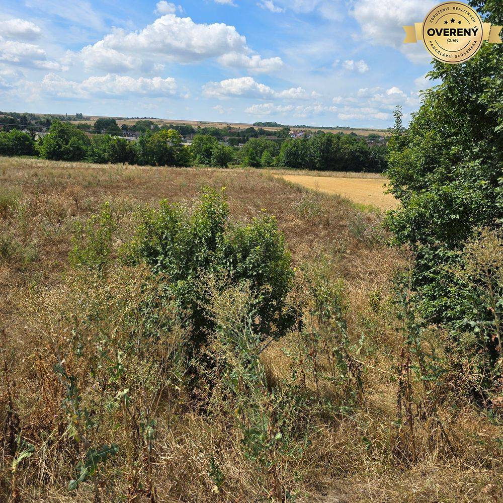 Sale Land – for living, Land – for living, Trnava, Slovakia