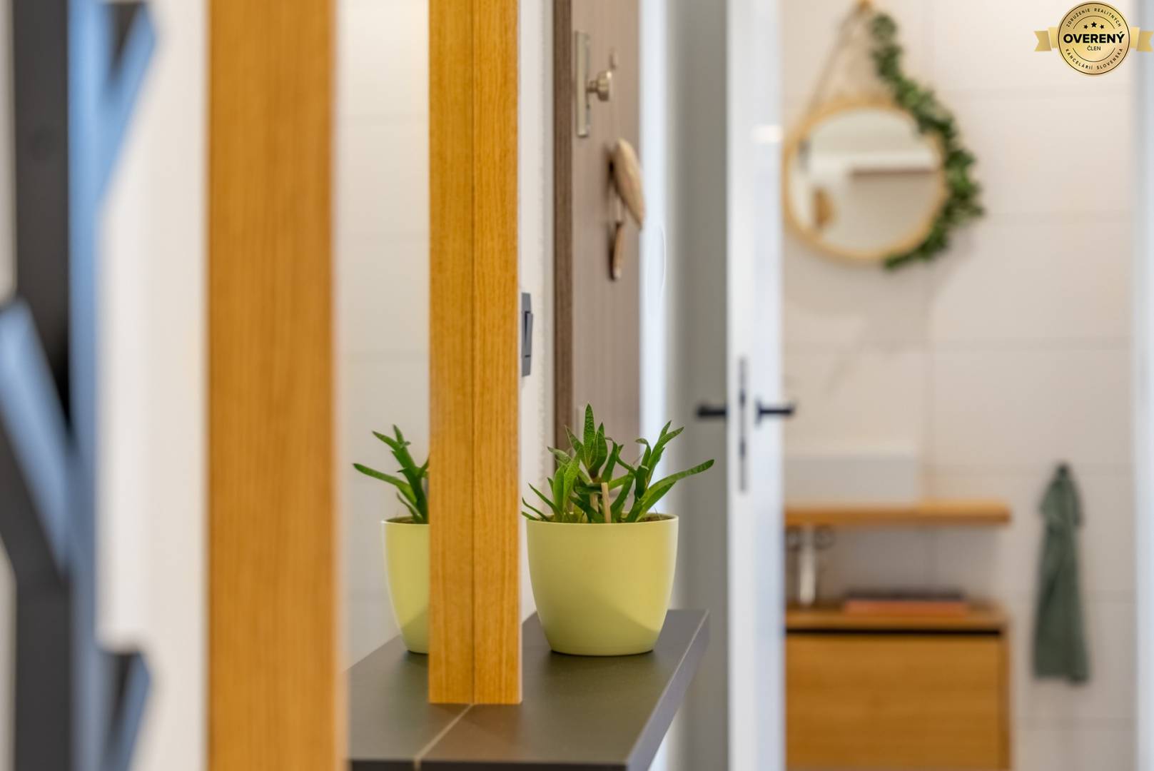 Sale Three bedroom apartment, Three bedroom apartment, Mikovíniho, Trn