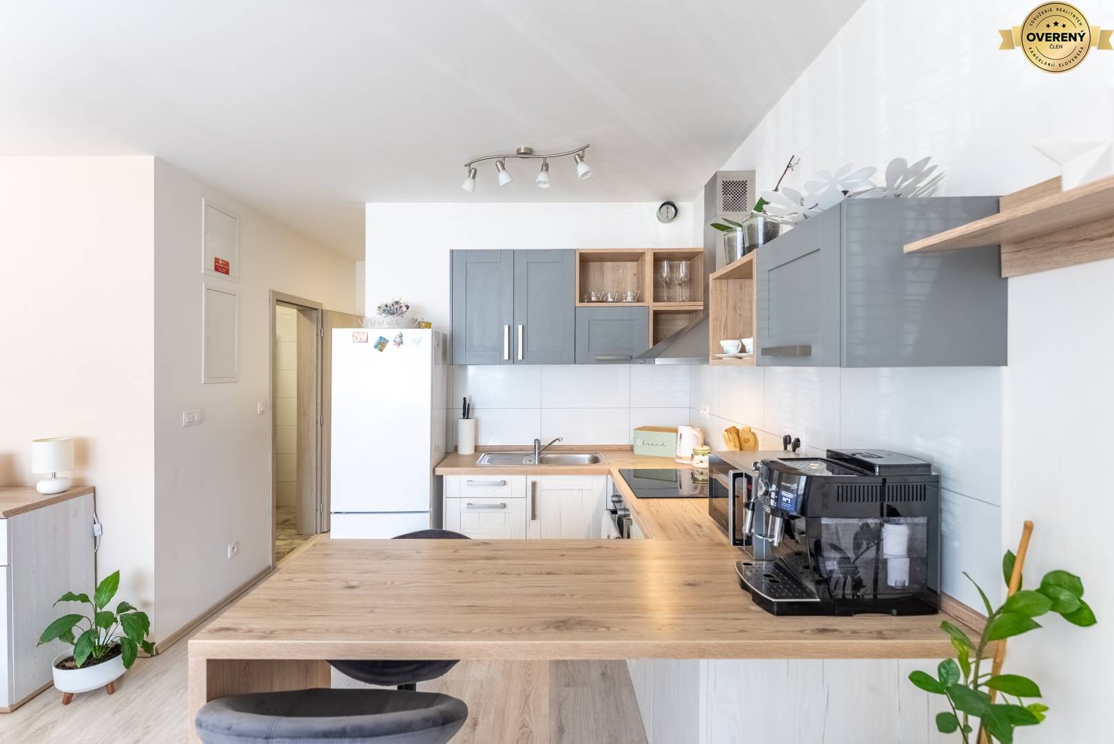 Rent Studio, Studio, Mikovíniho, Trnava, Slovakia