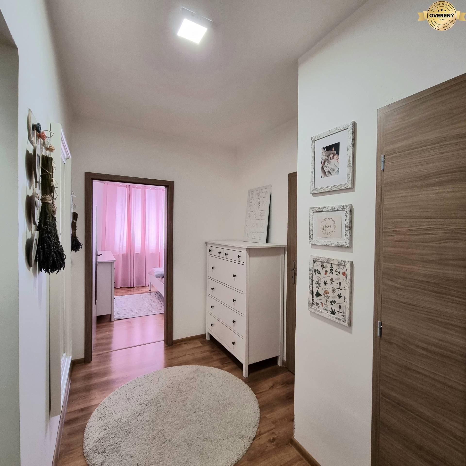 Rent One bedroom apartment, One bedroom apartment, Teodora Tekela, Trn