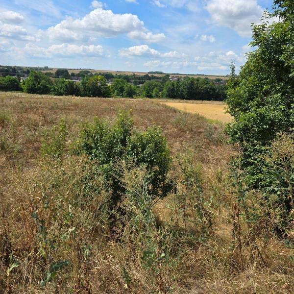 Sale Land – for living, Land – for living, Trnava, Slovakia