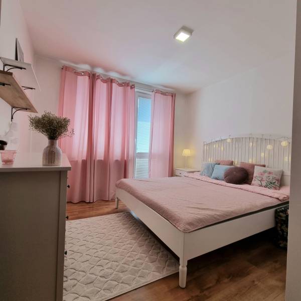 Rent One bedroom apartment, One bedroom apartment, Teodora Tekela, Trn