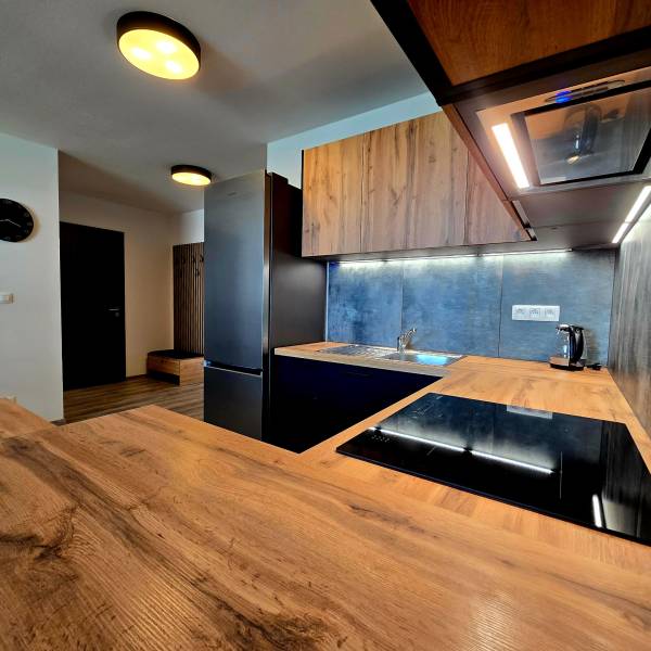 Rent One bedroom apartment, One bedroom apartment, Veterná, Trnava, Sl